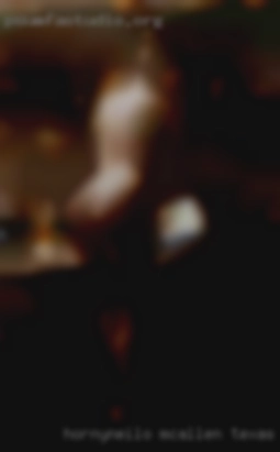 Hornyneilo Mcallen Texas